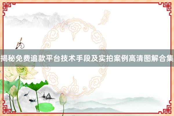 揭秘免费追款平台技术手段及实拍案例高清图解合集