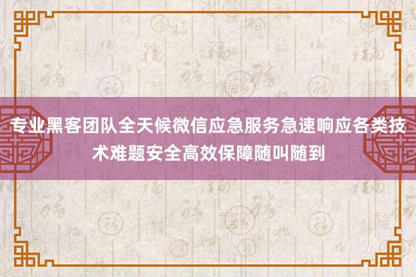 专业黑客团队全天候微信应急服务急速响应各类技术难题安全高效保障随叫随到