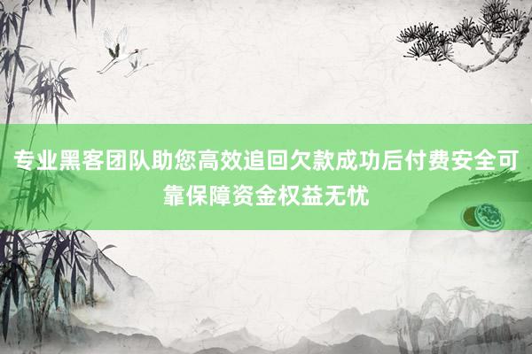 专业黑客团队助您高效追回欠款成功后付费安全可靠保障资金权益无忧