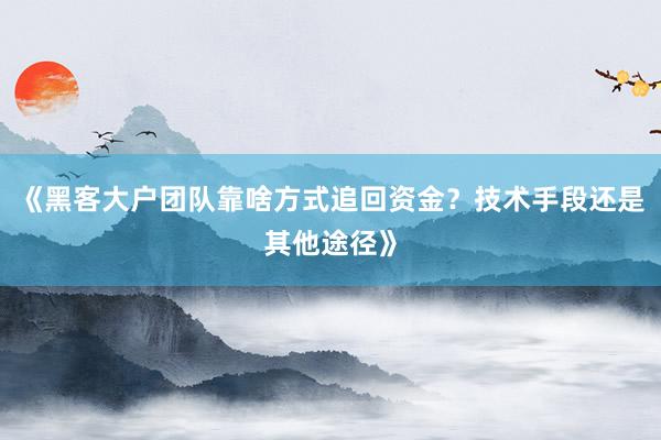 《黑客大户团队靠啥方式追回资金？技术手段还是其他途径》